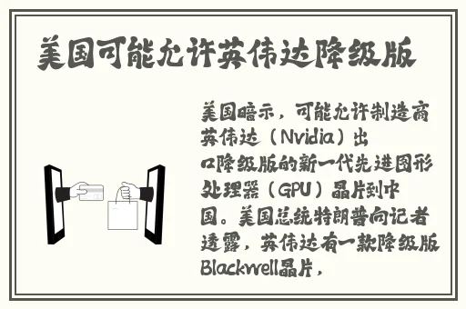 雷电将军の罚ゲーム视频
